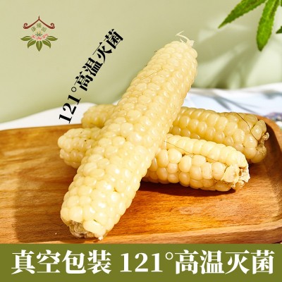 云南西双版纳拇指小玉米香甜软糯新鲜真空包装白糯玉米代餐粗粮图3