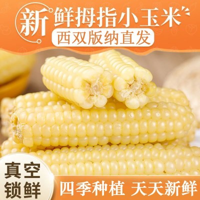 云南西双版纳拇指玉米新鲜真空手指小玉米迷你现摘甜白香糯宝宝餐图4