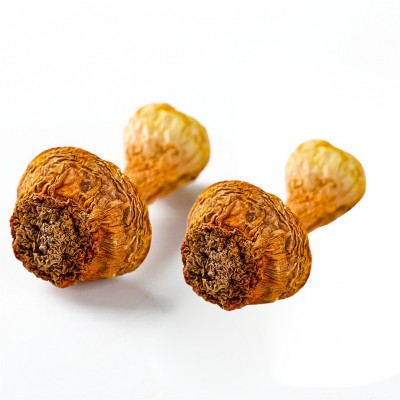 大嘴巴食用菌干货批发250g干姬松茸常规包装 脚肉厚花菇干蘑菇新图3