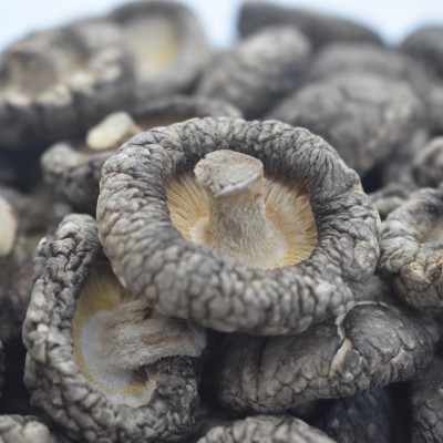 香菇小香菇干货袋装500g 精选无硫香菇食用菌农产品厂家批发团购图2