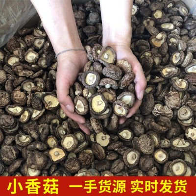 云南楷美小香菇干货南北干货珍珠菇迷你小香菇煲汤料包食材可代发图3