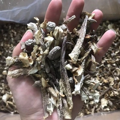 产地直供鹿茸菇碎干货批发鹿茸菌500g鹿茸菇碎片食用菌香菇煲汤图2