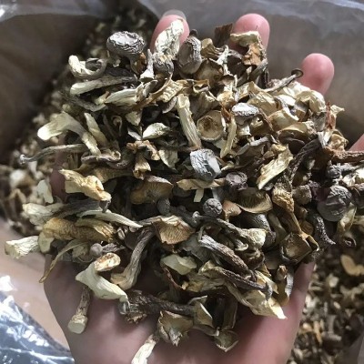 产地直供鹿茸菇碎干货批发鹿茸菌500g鹿茸菇碎片食用菌香菇煲汤图3