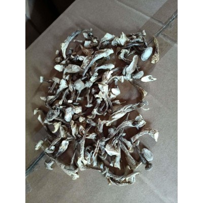 食用菌鹿茸菇货源嫩仔250g干货大量批发蒸汽烘干蒸的健康图2