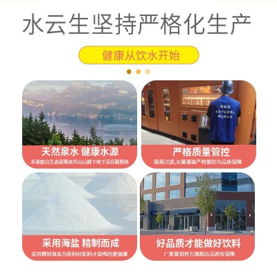 大洋玛盐汽水600ml*24瓶防暑降温碳酸饮料凤梨味批发整箱图2