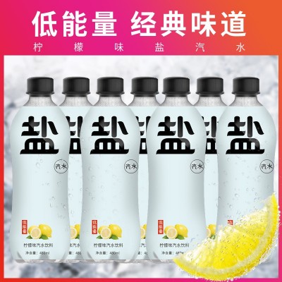 盐汽水整箱碳酸饮料480ml*24夏季柠檬味气泡水厂家批发图2