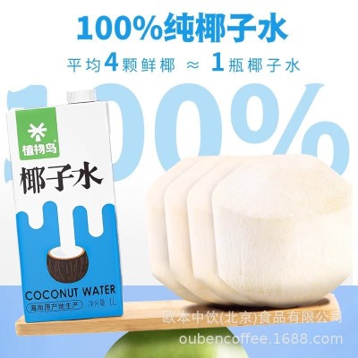 植物岛椰子水1L商用生打椰子水奶茶店专用原料海南青椰子水椰汁图2