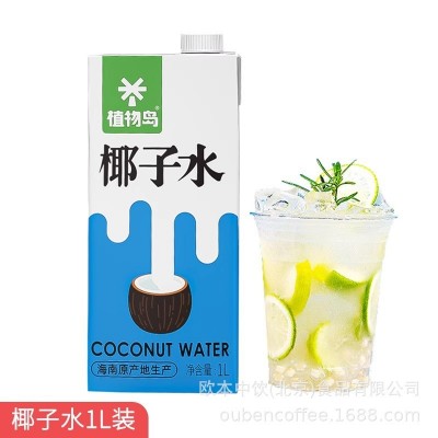 植物岛椰子水1L商用生打椰子水奶茶店专用原料海南青椰子水椰汁图4