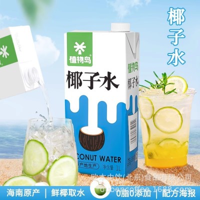 植物岛椰子水1L商用生打椰子水奶茶店专用原料海南青椰子水椰汁图5