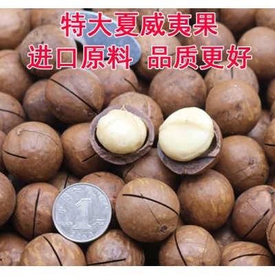 新货进口原料特大奶香夏威夷果奶油原味坚果炒货零食大包5斤起批