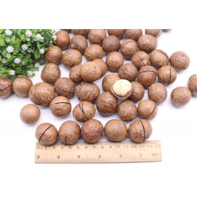 新货进口原料特大奶香夏威夷果奶油原味坚果炒货零食大包5斤起批图4