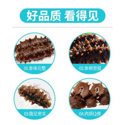 端午海参厂家批发大连海参辽刺参非海参干货劲道口感即食海参500g图3