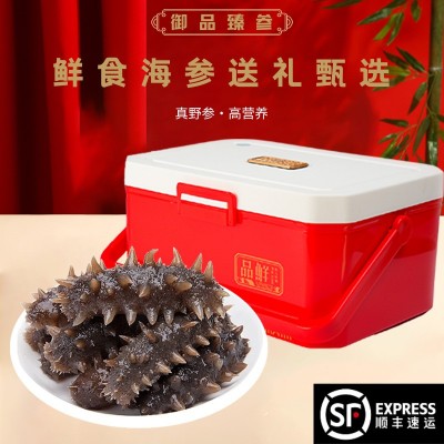 端午海参厂家批发大连海参辽刺参非海参干货劲道口感即食海参500g图2