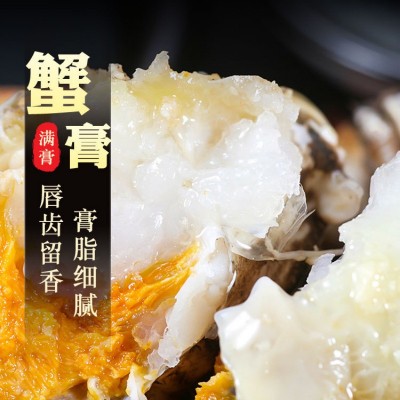 品质新蟹鲜活特大大闸蟹5两爆黄全母蟹中秋礼盒现货包邮阳澄湖镇图3