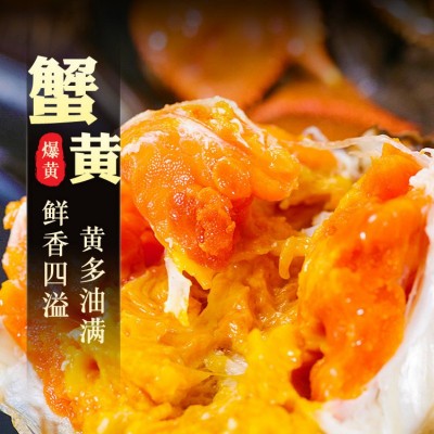 品质新蟹鲜活特大大闸蟹5两爆黄全母蟹中秋礼盒现货包邮阳澄湖镇图2