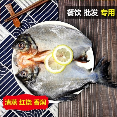 红鲳鱼 清蒸红烧香焖350-1000g新鲜鲜活冰冻水产开背三去腌制鲳鱼图2