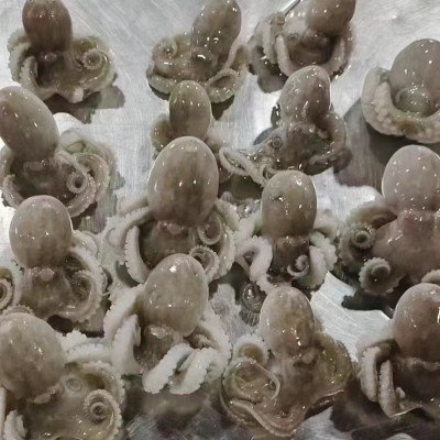批发供应冷冻八爪鱼小章鱼三去盐磨八爪鱼海鲜火锅串串原料食材图3