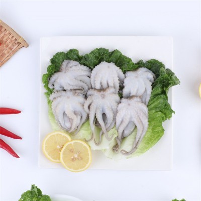 批发供应冷冻八爪鱼小章鱼三去盐磨八爪鱼麻辣捞汁海鲜原料食材