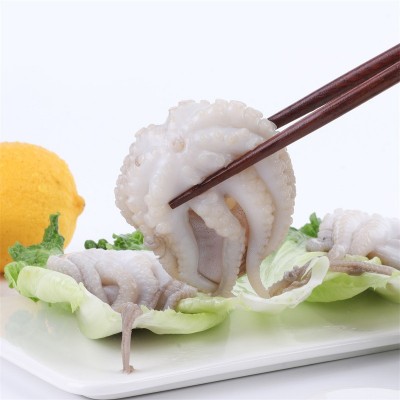 批发供应冷冻八爪鱼小章鱼三去盐磨八爪鱼麻辣捞汁海鲜原料食材图3