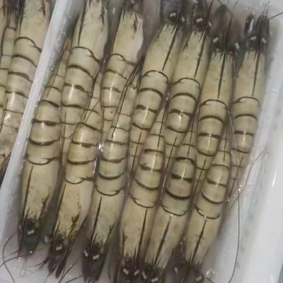 黑虎虾鲜活整箱批发速冻商用烧烤速冻大虾活冻黑虎虾油焖大虾冰冻图2