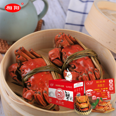 西安阳澄湖大闸蟹专卖店5对装价格表_388起不同型号价格可谈欢迎咨询图2