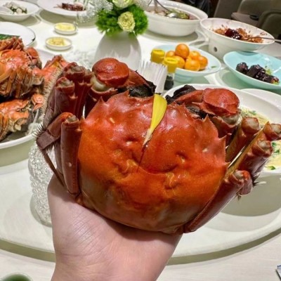 活蟹特大鲜活螃蟹河 蟹海鲜水产现货礼盒包装图3