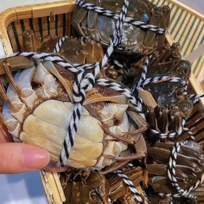 活蟹特大鲜活螃蟹河 蟹海鲜水产现货礼盒包装图5