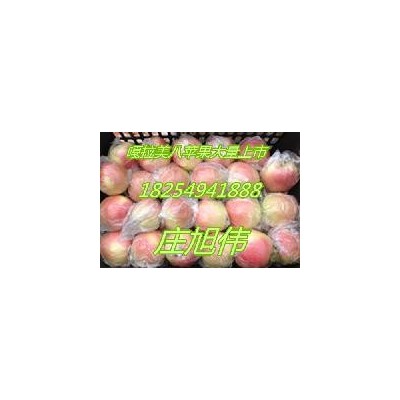 山东苹果基地美八苹果今年销售价格图3