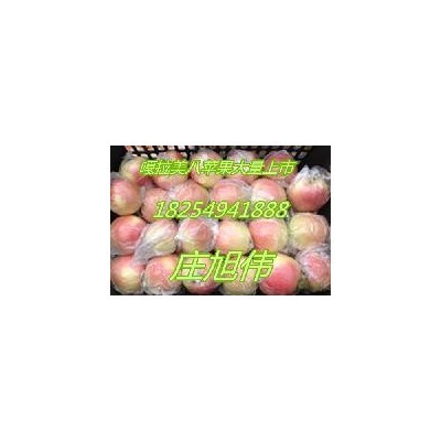 山东苹果基地美八苹果今年销售价格图4