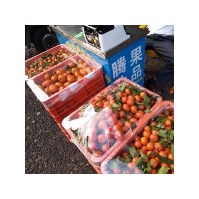 东莞市水果批发市场行情图4