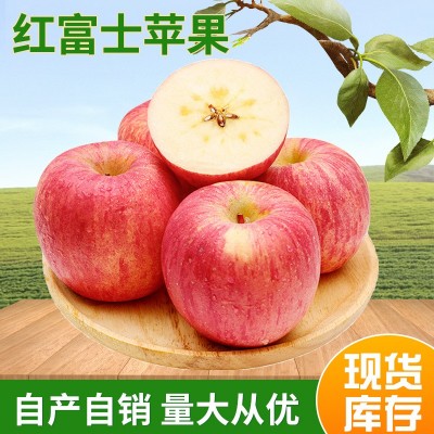 烟台产地三级红富士装精选条红果75-80果脆甜多汁红富士苹果批发图5