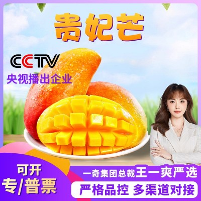 海南贵妃芒 代发1/9斤新鲜红金龙甜糯芒果应季水果礼盒非 小台芒图5