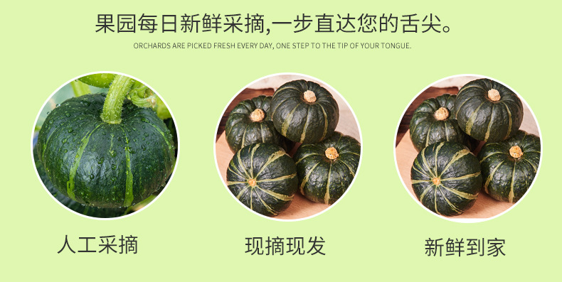 惠和一号_10.jpg