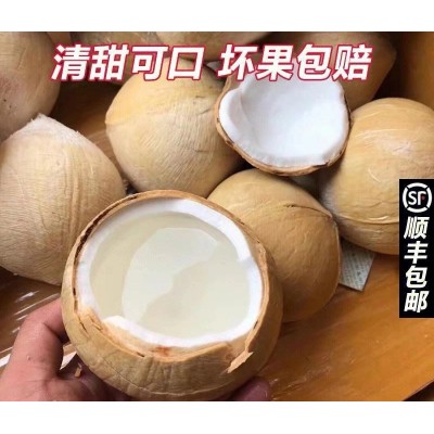 泰国进口椰皇4个/6个大果香浓老椰子新鲜椰汁去皮椰青当季时令水图5