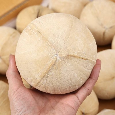 泰国进口椰皇4个/6个大果香浓老椰子新鲜椰汁去皮椰青当季时令水