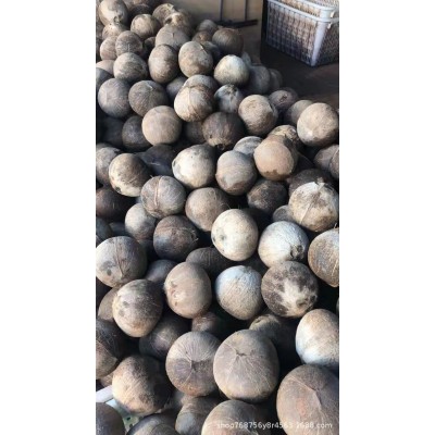 海南椰子椰皇老椰子毛椰子椰肉椰肉片椰球各类椰子加工产品可开壳图3