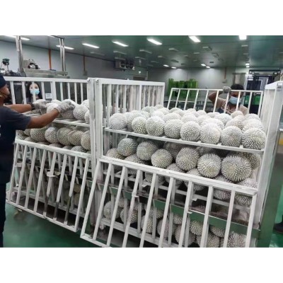 【整件批发】马来西亚猫山王榴莲D197液氮冰鲜整果可零售选果私聊图2