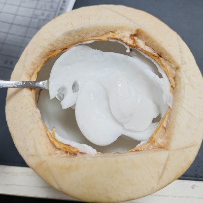 QD牌泰国椰青新鲜椰子特大果9个装进口整箱批发D牌椰青