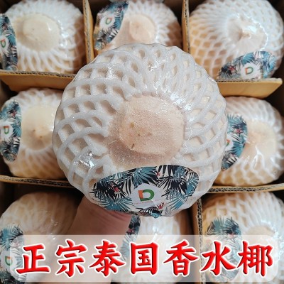 QD牌泰国椰青新鲜椰子特大果9个装进口整箱批发D牌椰青图5
