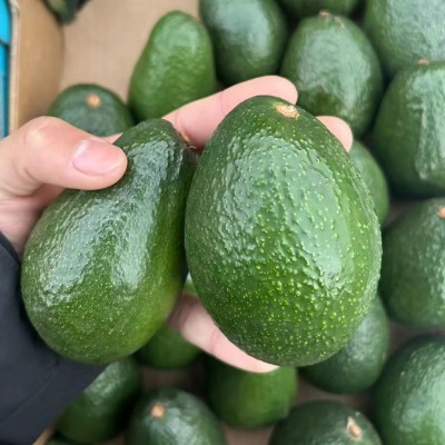 批发进口牛油果生果即食熟果智利墨西哥秘鲁整箱催熟果批发图4