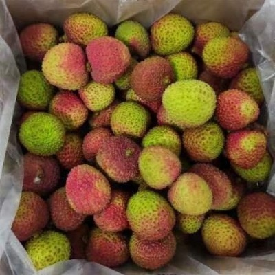 新鲜荔枝妃子笑一件代发批发当季水果荔枝王无核荔枝糯米糍