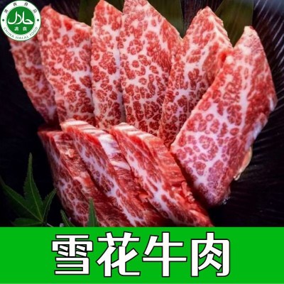 清真原装原切雪花牛肉 精选部位 整切大块适合烧烤 煎 涮火锅图2