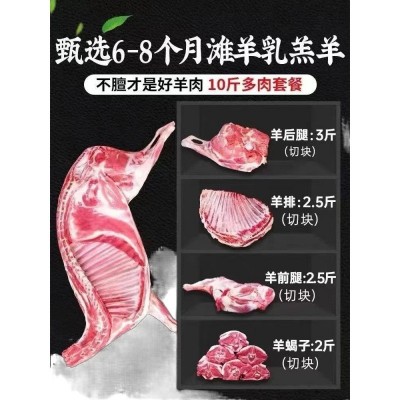 【半只羊】新鲜羊肉10斤原羊羔本地散养全羊整只羊排8/5/斤图3