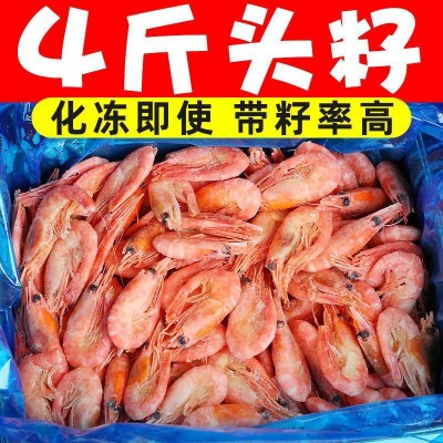 4斤即食北极甜虾虾子大虾鲜活特大带头腹籽北极熊一冰虾海鲜批发图3