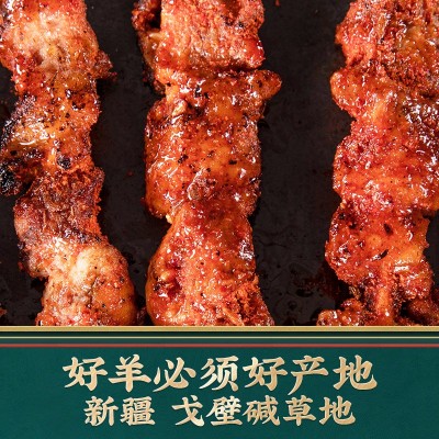 定制加工新疆羊肉特产正中红柳羊肉串大师配方图3