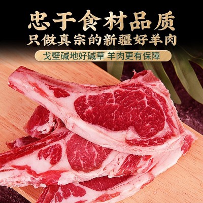 喀小主羊蝎子新疆碱地羊