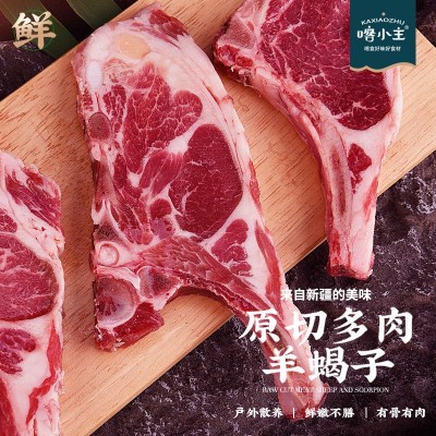 喀小主羊蝎子新疆碱地羊图5