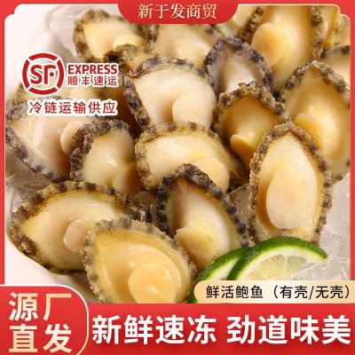 批发新鲜鲍鱼肉带壳冷冻大鲍鱼海鲜水产商用小鲍鱼加热即食捞汁饭图5