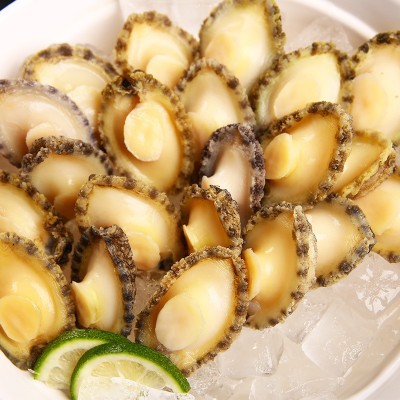 批发新鲜鲍鱼肉带壳冷冻大鲍鱼海鲜水产商用小鲍鱼加热即食捞汁饭图4