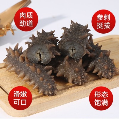 鲜食海参厂家批发即食海参辽刺海参非淡干大连鲜食海参肉质饱满图4
